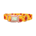 Peace Symbol Sunflower Dog Collar - plastic rose gold