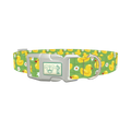 Yellow Duck Pattern Dog Collar - plastic silver
