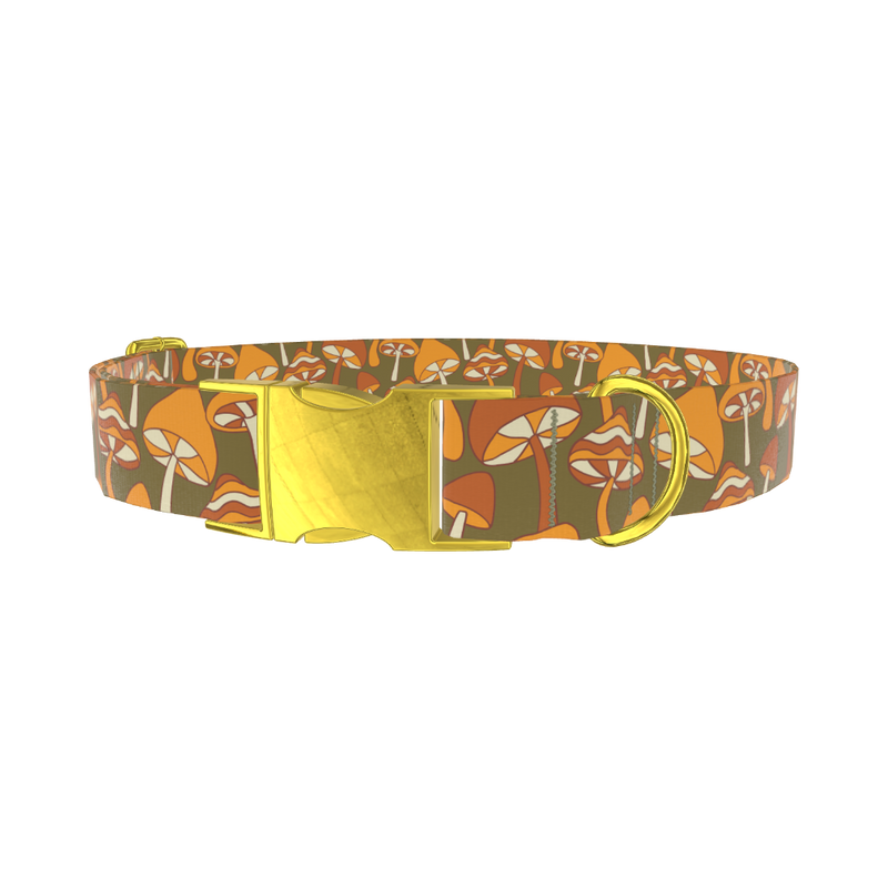 Autumn Field Mushroom Dog Collar - metal gold