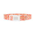 Floral Dinosaur Dog Collar - plastic silver