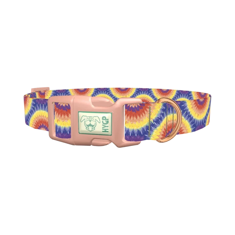 Colorful Burst Dog Collar - plastic rose gold