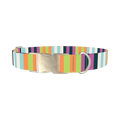 Pastel Stripe Dog Collar - metal silver