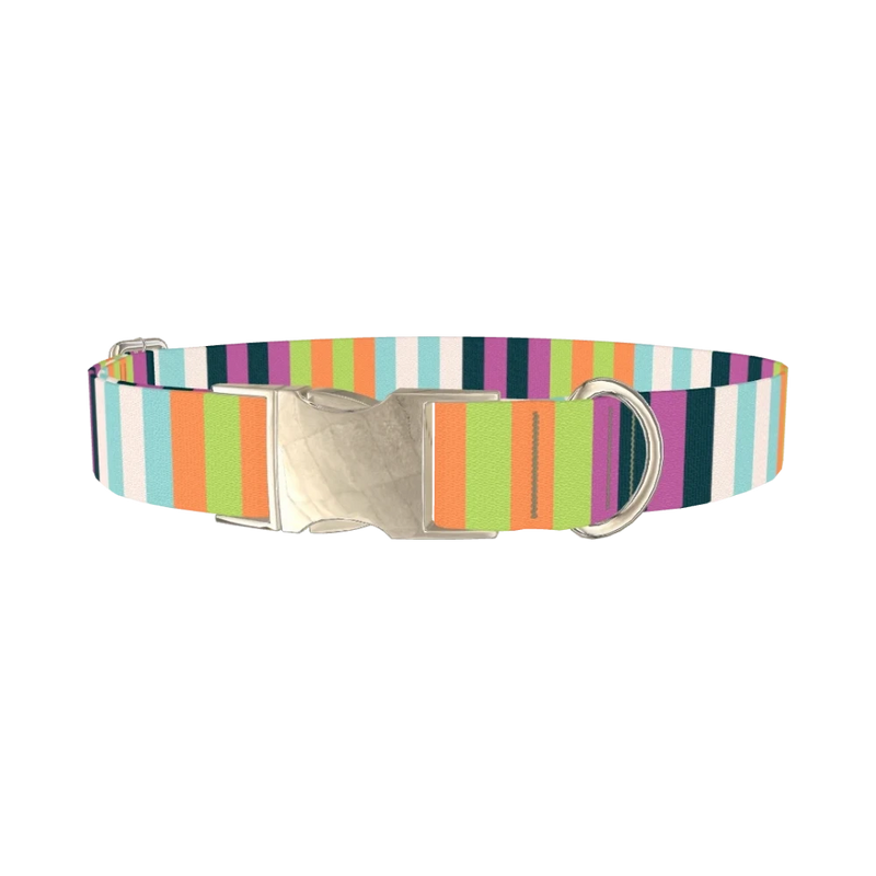 Pastel Stripe Dog Collar - metal silver