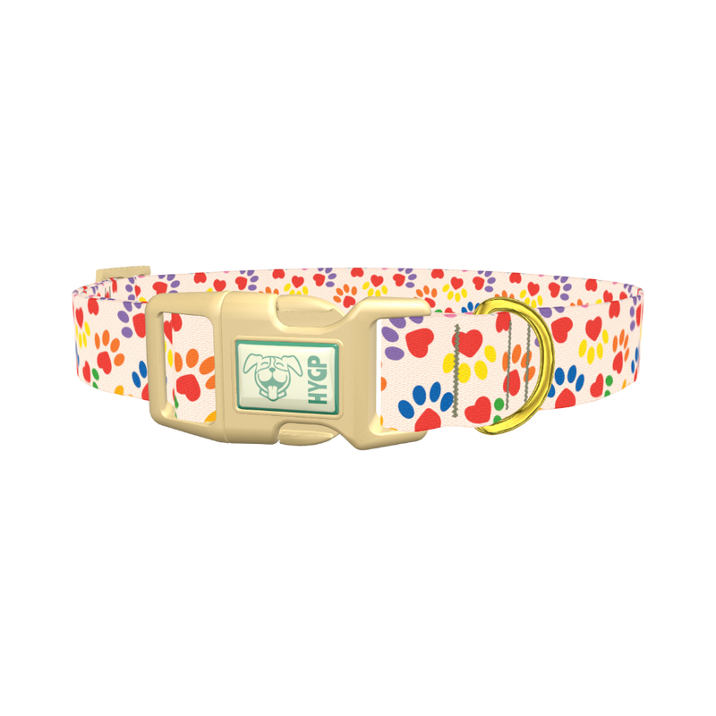 Heart Paw Dog Collar - plastic gold