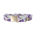 Abstract Splatter Dog Collar - metal silver