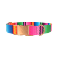 Wavy Rainbow Stripe Dog Collar - metal silver