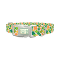 Multicolor Clover Dog Collar - plastic silver