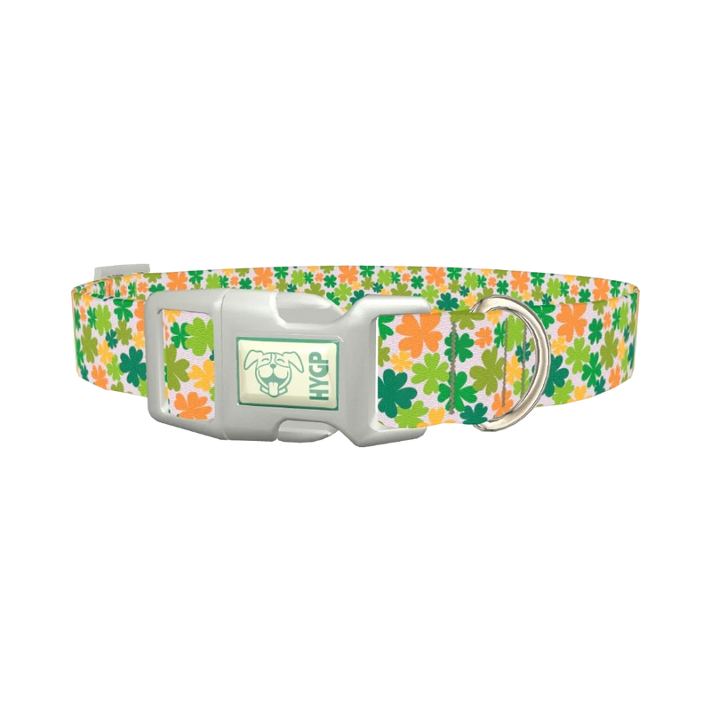 Multicolor Clover Dog Collar - plastic silver