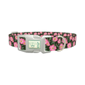 Floral Wild Rose Dog Collar - plastic silver