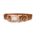 Tiger Stripe Dog Collar - plastic rose gold