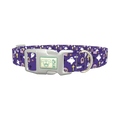 Purple Graveyard Halloween Dog Collar - plastic silver