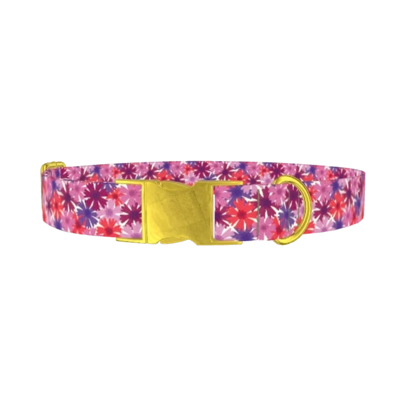 Colorful Cornflower Dog Collar - metal gold