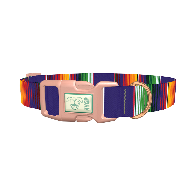 Colorful Stripes Dog Collar - plastic rose gold