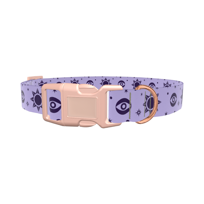 Mystical Star Dog Collar - plastic silver