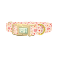 Valentine Hearts Dog Collar - plastic gold