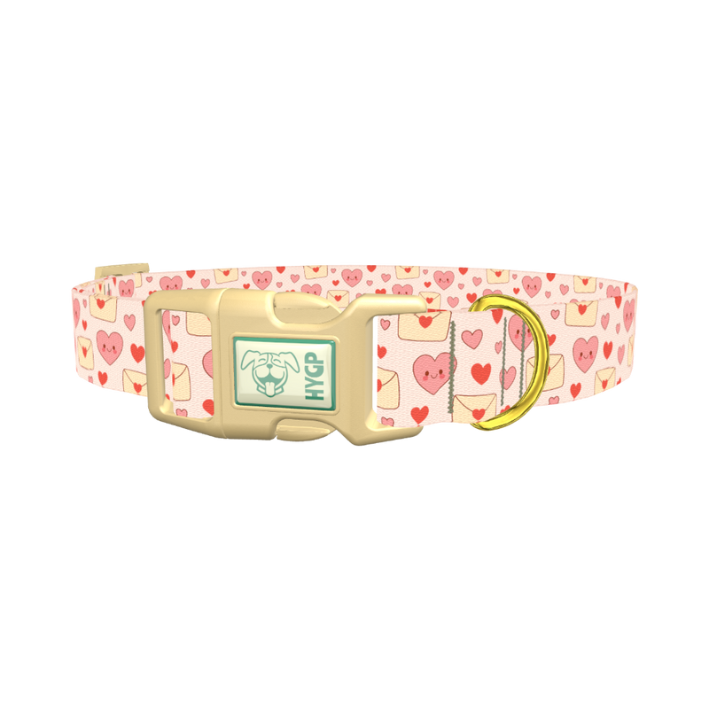 Valentine Hearts Dog Collar - plastic gold