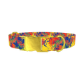 Colorful Paint Splatter Dog Collar - metal gold