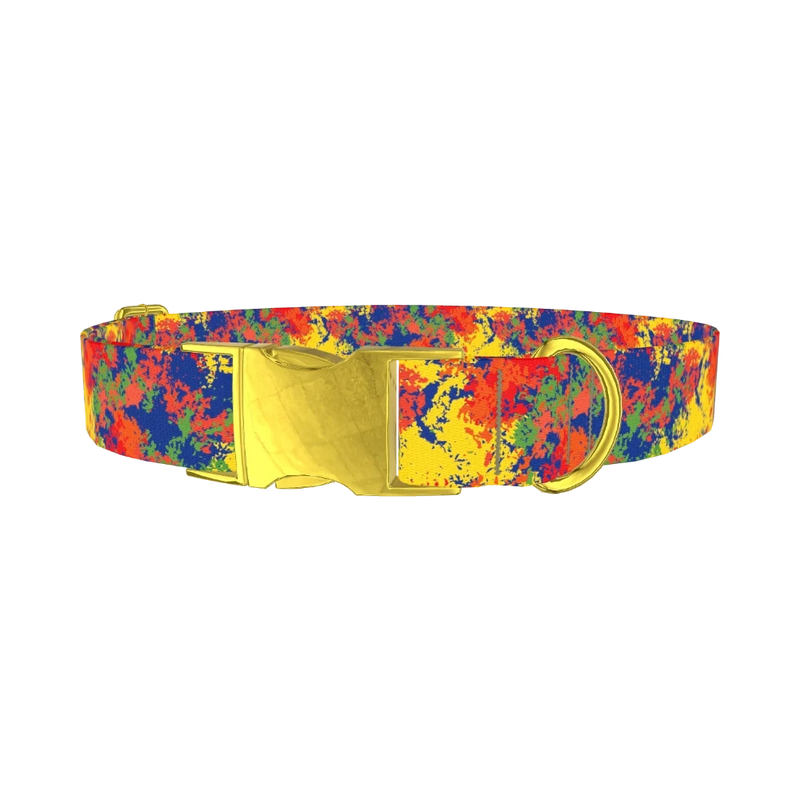 Colorful Paint Splatter Dog Collar - metal gold