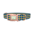 Yellow Blue Checkered Dog Collar - plastic rose gold