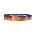 Desert Night Dog Collar - metal rose gold