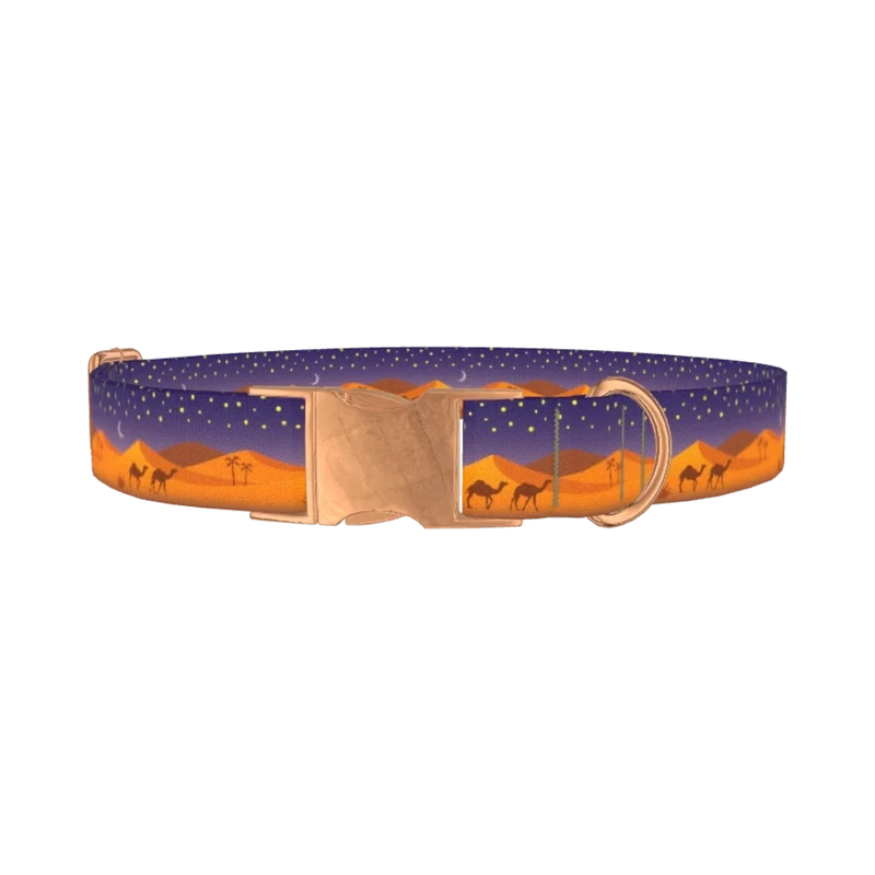 Desert Night Dog Collar - metal rose gold