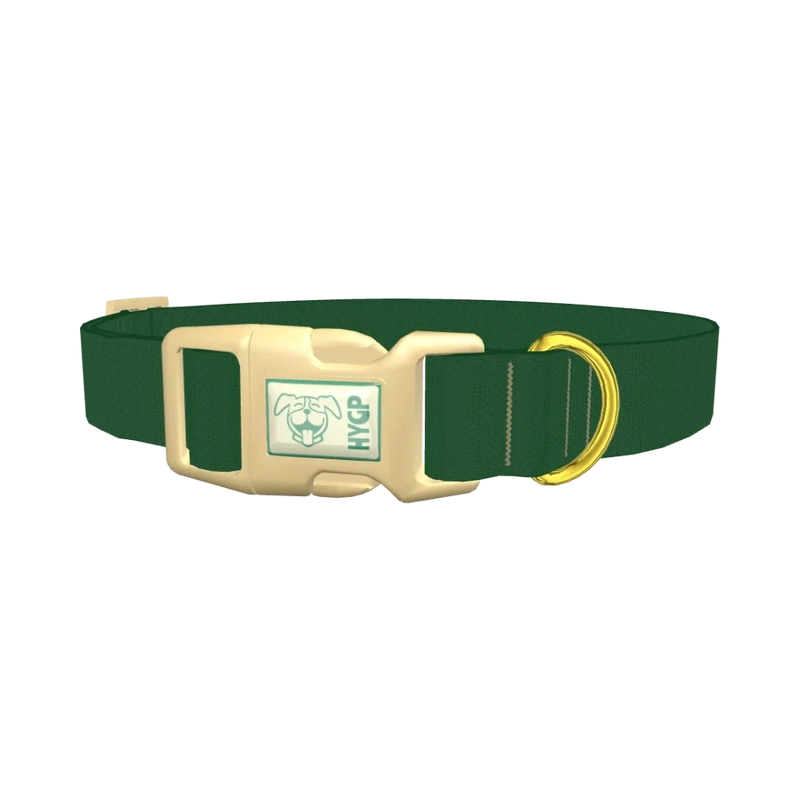 Vivid Cerulean Color Dog Collar - plastic gold
