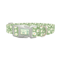 Green Daisy Dog Collar - plastic silver
