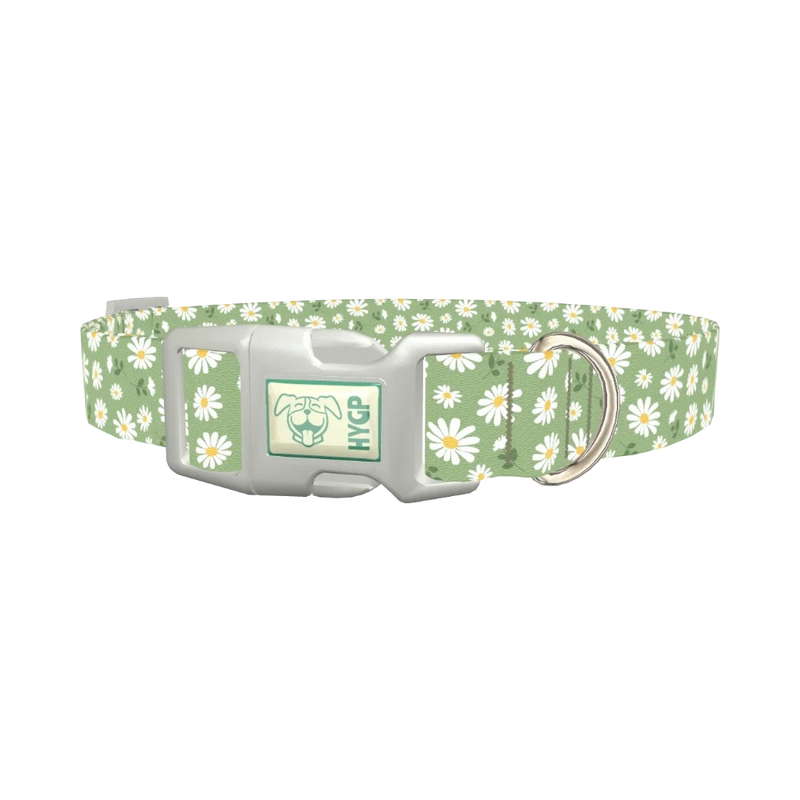 Green Daisy Dog Collar - plastic silver