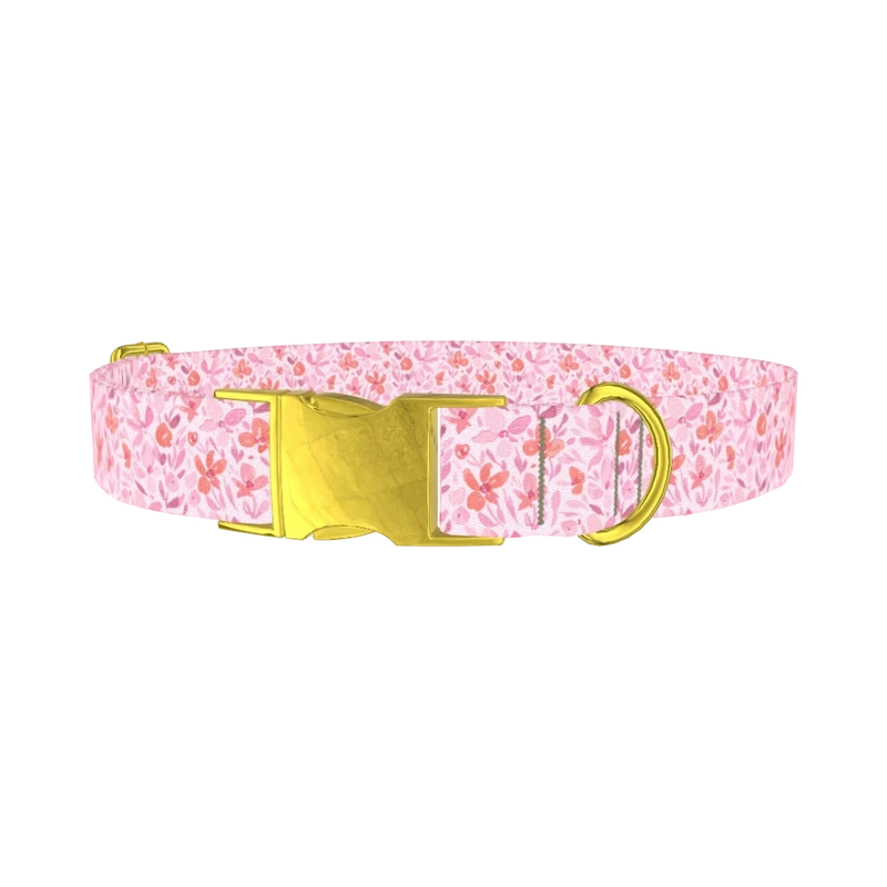 Floral Watercolor Dog Collar - metal gold