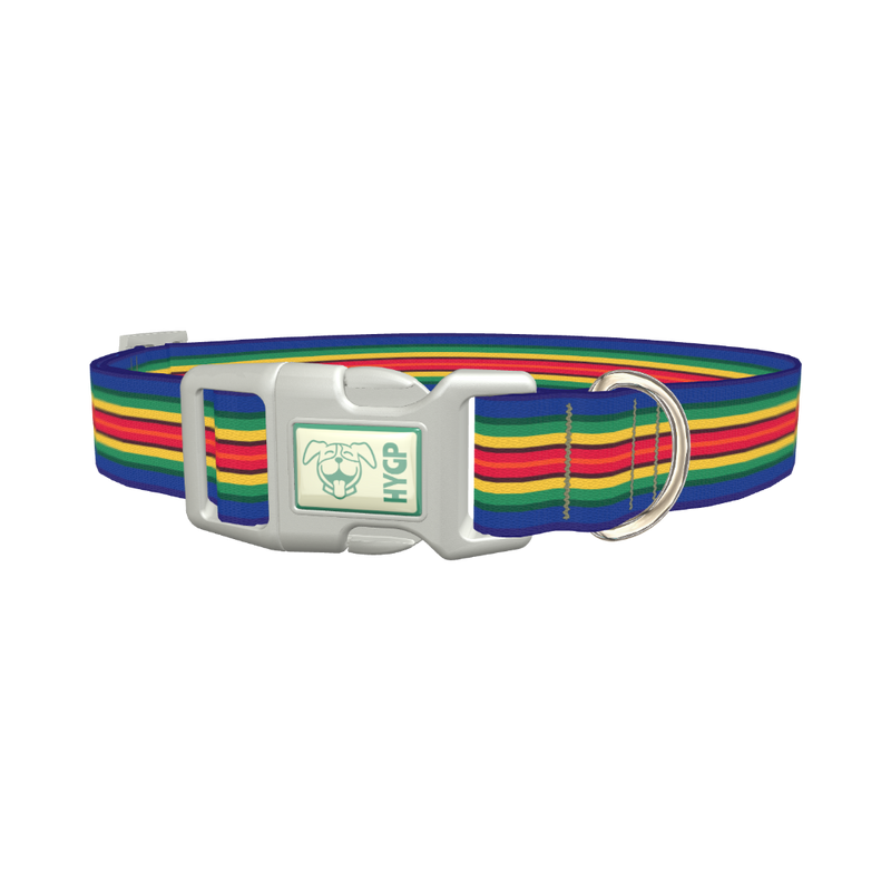 Multicolor Stripe Dog Collar - plastic silver