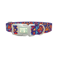 Colorful Triangle Pattern Dog Collar - plastic silver