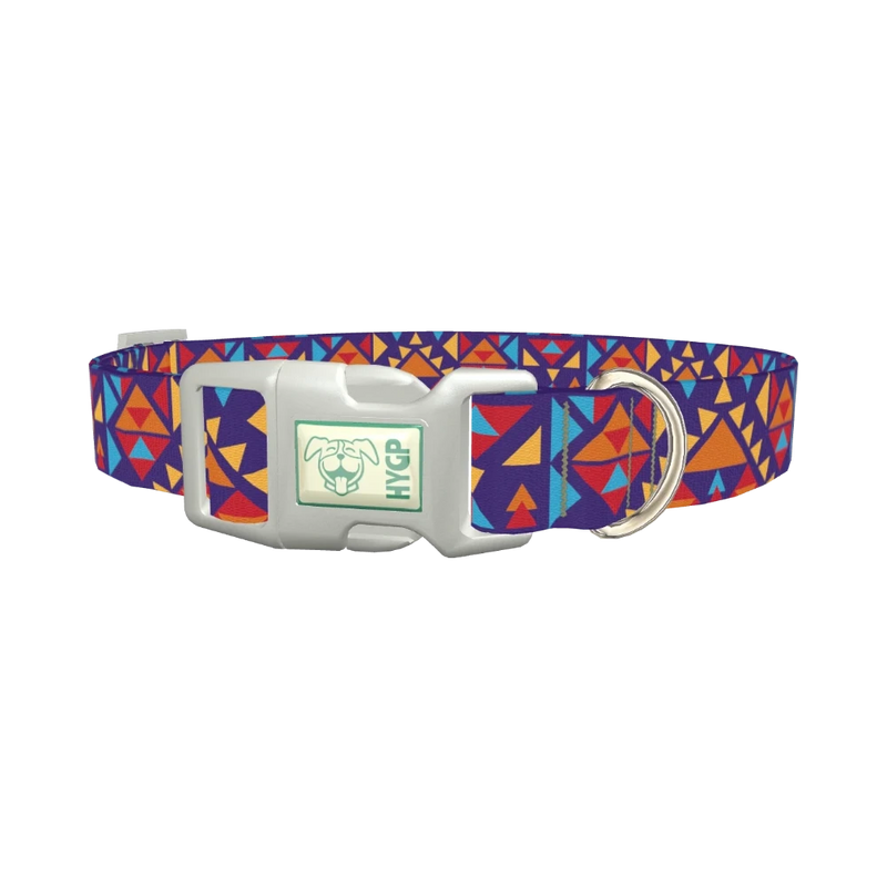 Colorful Triangle Pattern Dog Collar - plastic silver