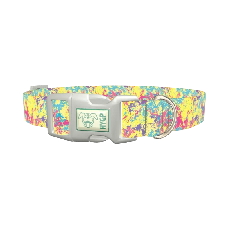 Colorful Splatter Dog Collar - plastic silver