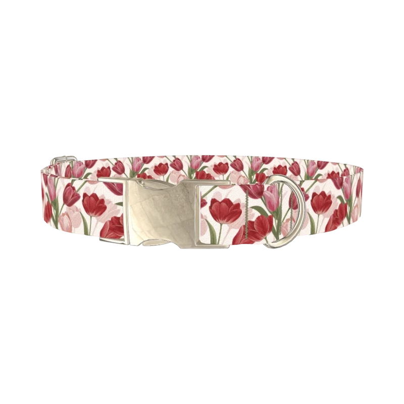 Red Pink Tulip Dog Collar - metal silver