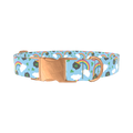 St. Patrick's Rainbow Dog Collar - metal silver