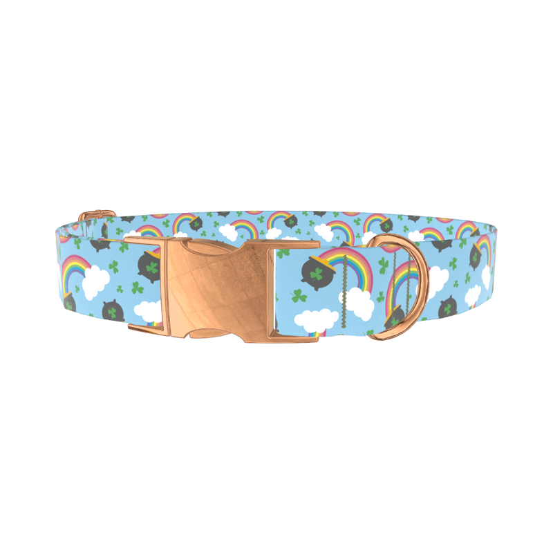 St. Patrick's Rainbow Dog Collar - metal silver