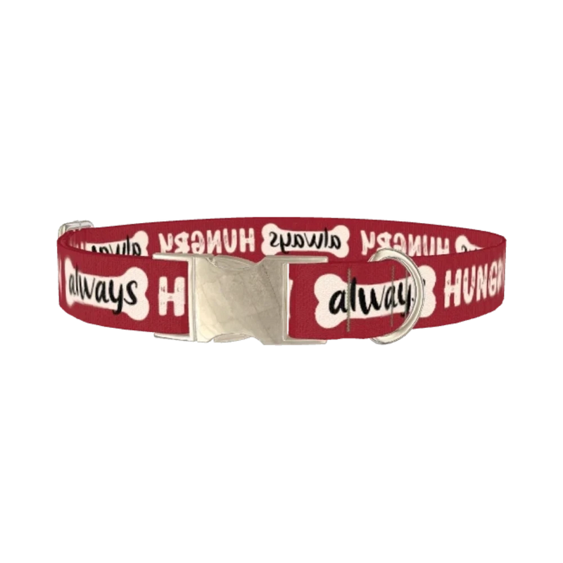 Always Hungry Dog Collar - metal silver