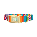Tribal Aztec Stripe Dog Collar - plastic gold