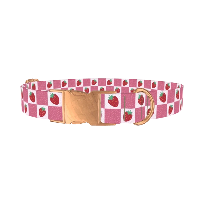 Strawberry Patch Dog Collar - metal rose gold