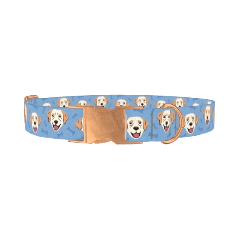 Labrador Dog Collar - metal rose gold