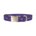 Mystical Witchcraft Dog Collar - metal silver