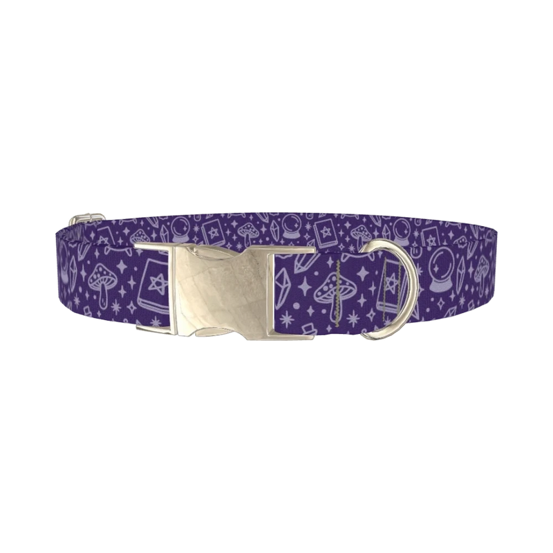 Mystical Witchcraft Dog Collar - metal silver