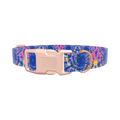 Tie-Dye Spiral Dog Collar - plastic gold