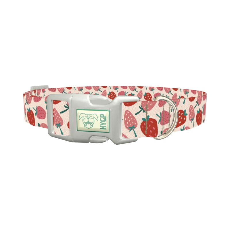 Pink Strawberry Pattern Dog Collar - plastic silver