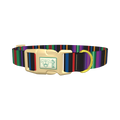 Bold Black Stripe Dog Collar - plastic gold