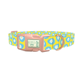 Blue Daisy Easter Egg Dog Collar - plastic rose gold