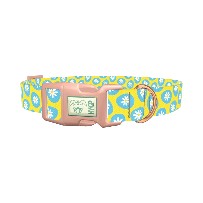 Blue Daisy Easter Egg Dog Collar - plastic rose gold