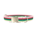 Multicolor Stripe Dog Collar - metal silver