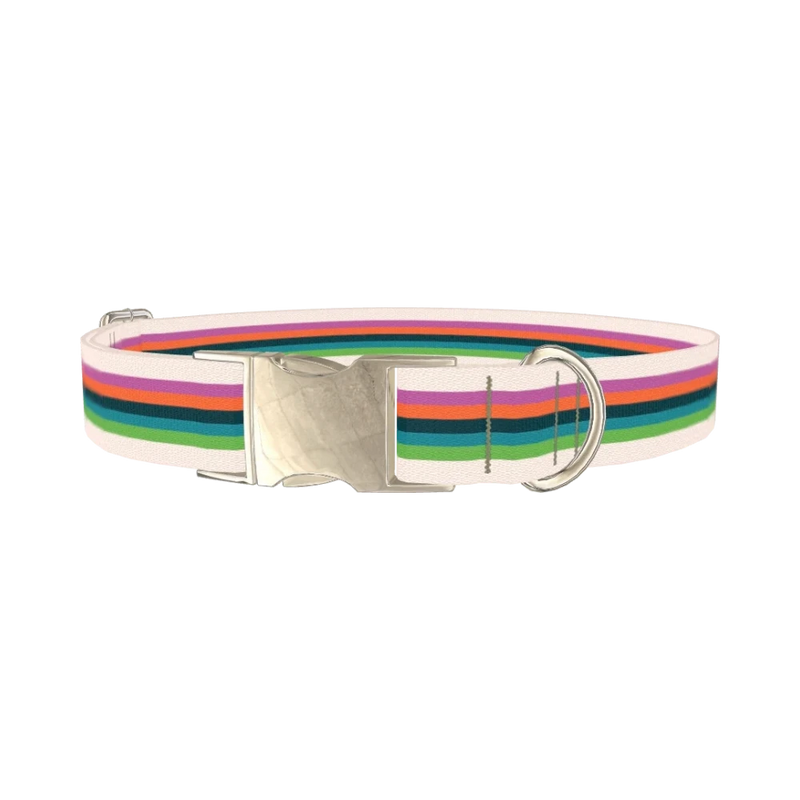 Multicolor Stripe Dog Collar - metal silver