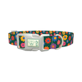Floral Pattern Dog Collar - plastic silver